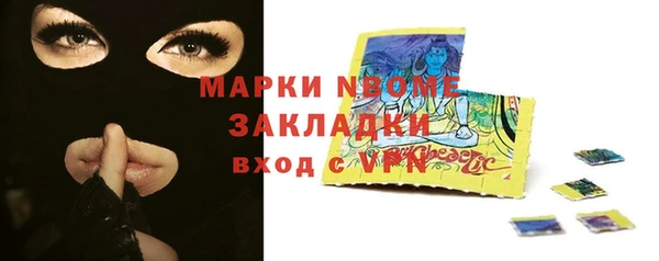 индика Алзамай