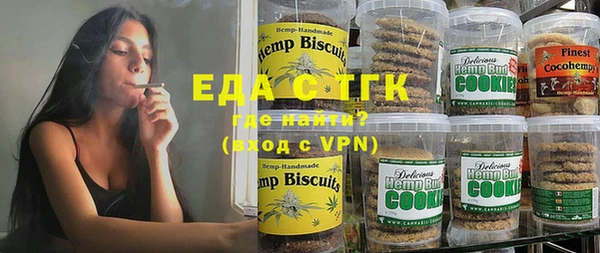 индика Алзамай