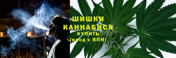 индика Алзамай