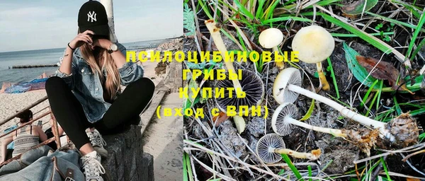 индика Алзамай