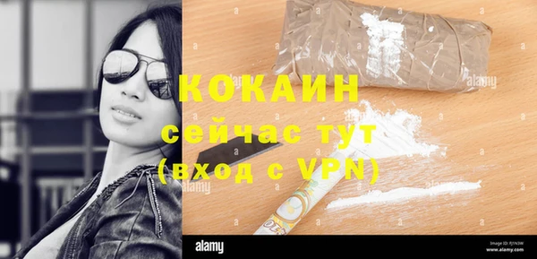 индика Алзамай