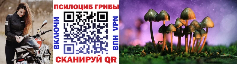 Псилоцибиновые грибы прущие грибы  shop Telegram  Камешково 